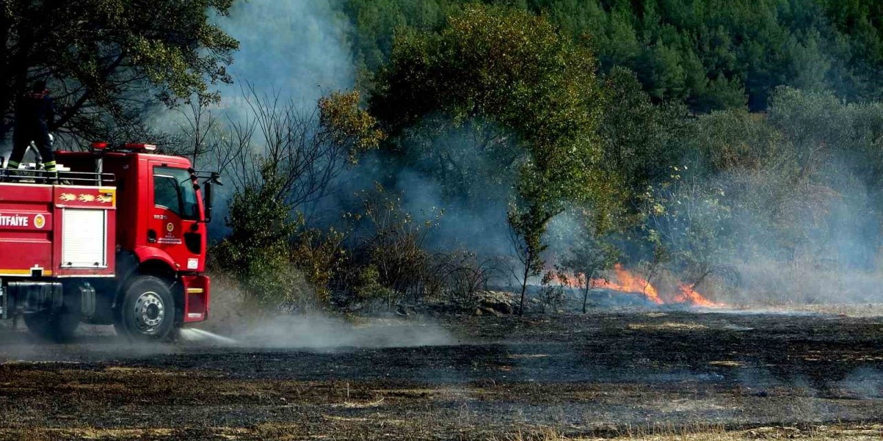 Yeniköy’de anız yangını hızlı müdahale ile söndürüldü