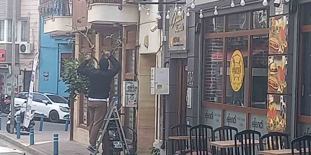 Göz göre göre sokaktaki güzelim ağacı kesti