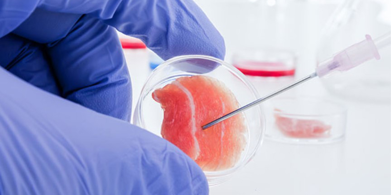 Kök hücre tedavisi ile yenileyici sağlık çözümleri