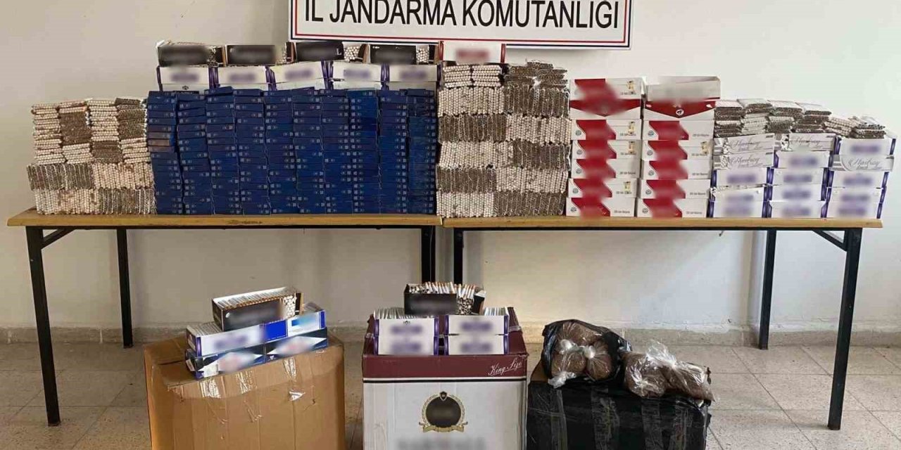 Söke’de Helenistik döneme ait tarihi eserler ele geçirildi: 1 gözaltı