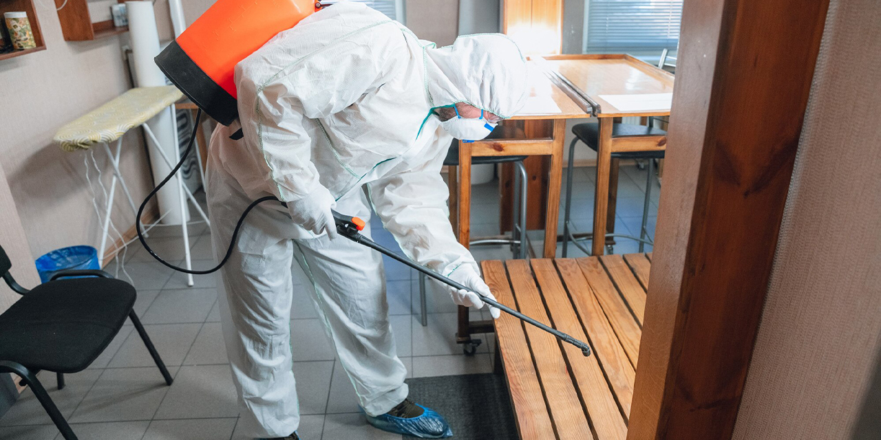 Tahta kurusu ilaçlama yöntemleri nelerdir?