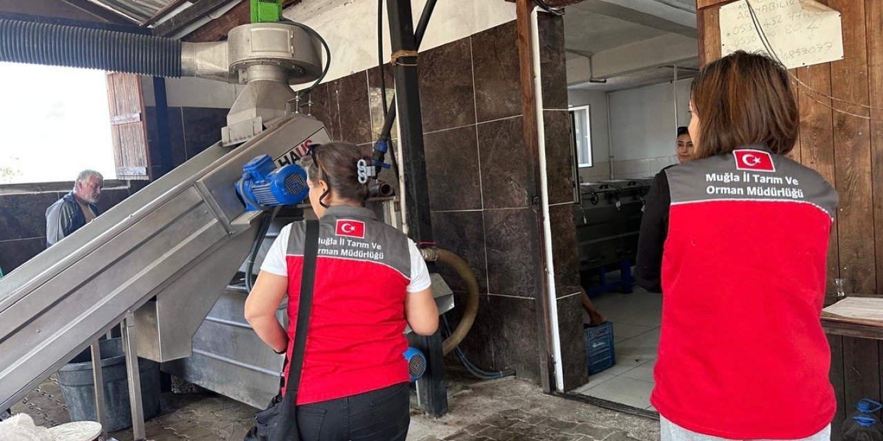 Muğla’da zeytinyağı denetimleri hız kesmeden devam ediyor