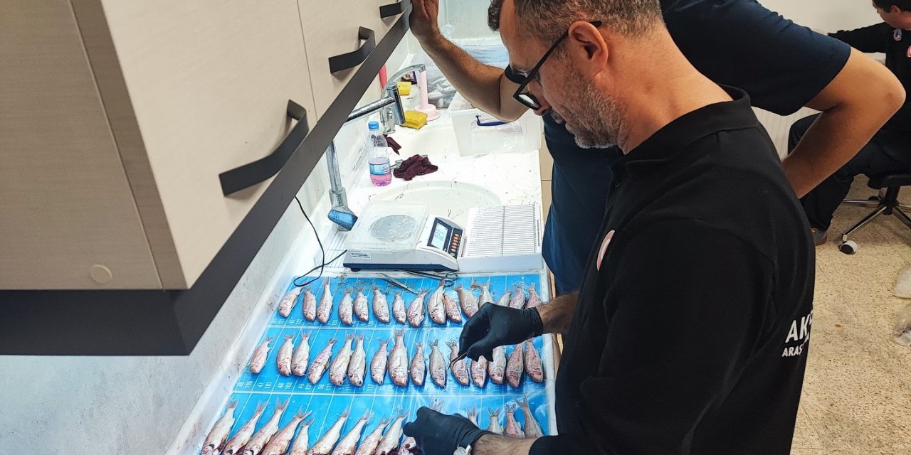 Ege ve Akdeniz’de balıkçılığı izleme çalışmaları Muğla’da devam ediyor