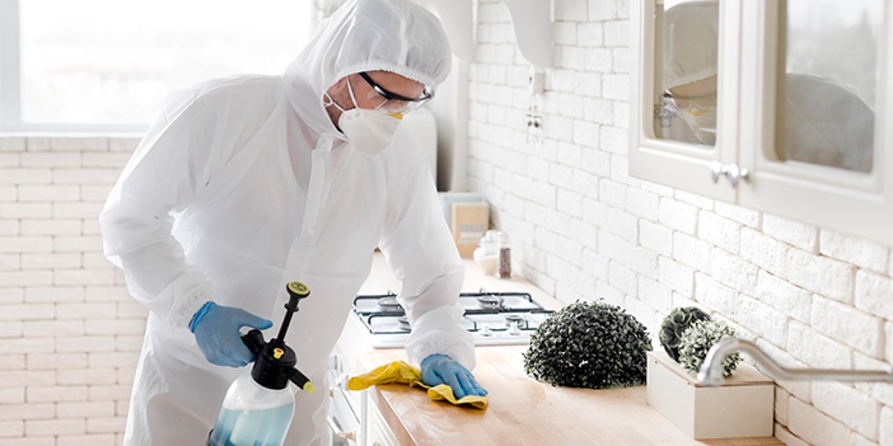 Profesyonel fare ilaçlama ile kalıcı çözüm