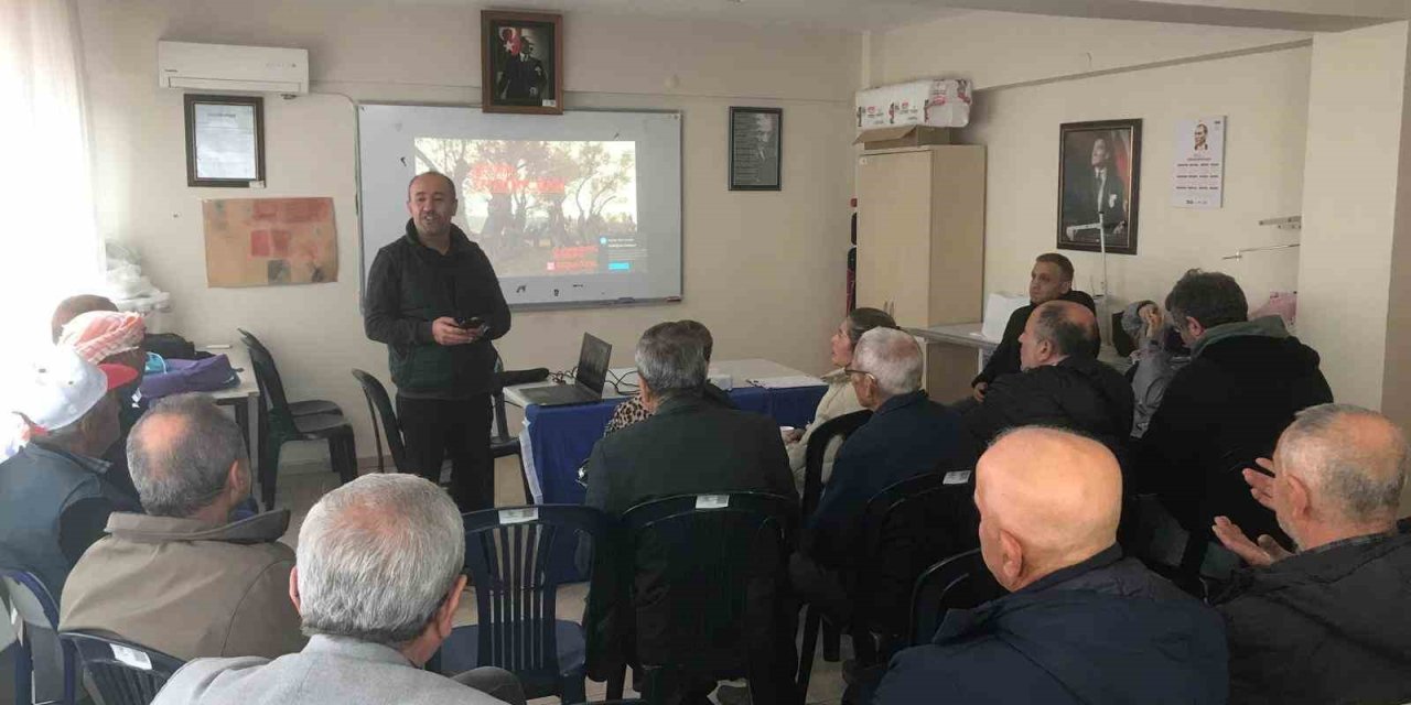 Zeytin ağaçları küllerinden doğup yeşeriyor