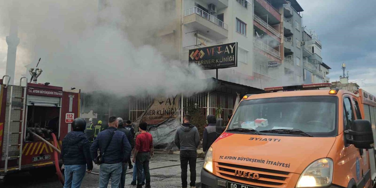 Veteriner kliniği alevlere teslim oldu