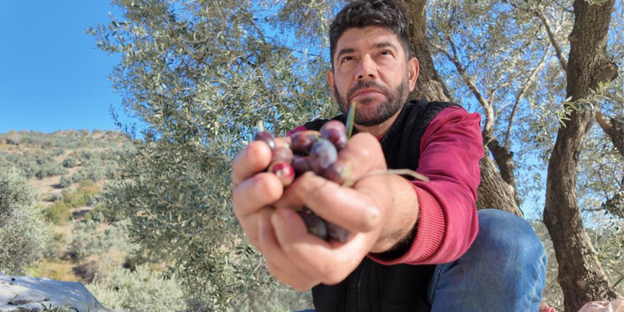 Nakil iki koluyla sorunsuz hasat yapıyor