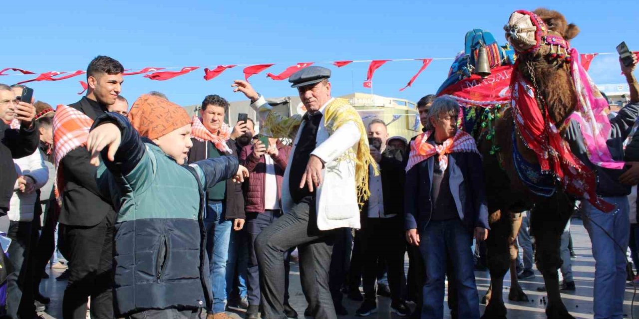 Görücüye çıkan develer ilginç görüntülere sahne oldu