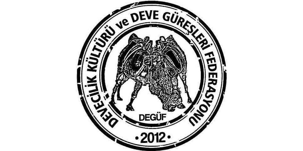 Köşk’teki deve güreşleri iptal edildi