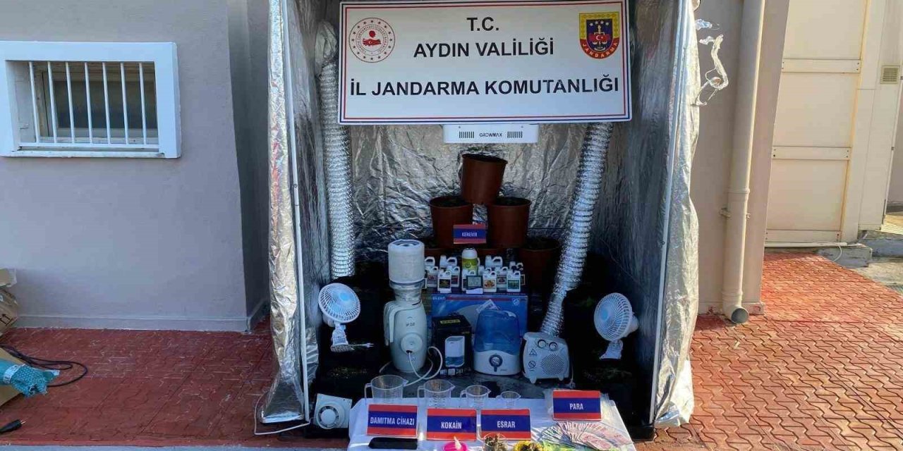 Aydın jandarmasından uyuşturucu operasyonu: 31 gözaltı