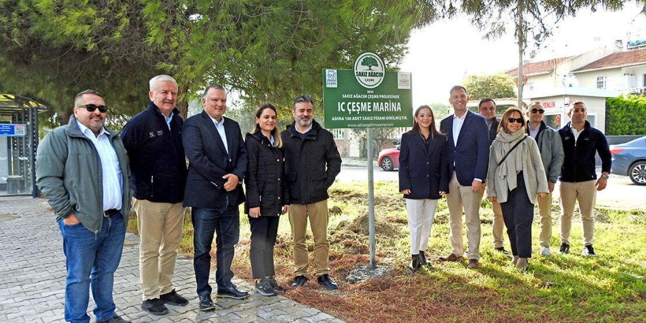 ’Sakız Ağacım Çeşme’ projesiyle sakız ağacı sayısı hızla artıyor