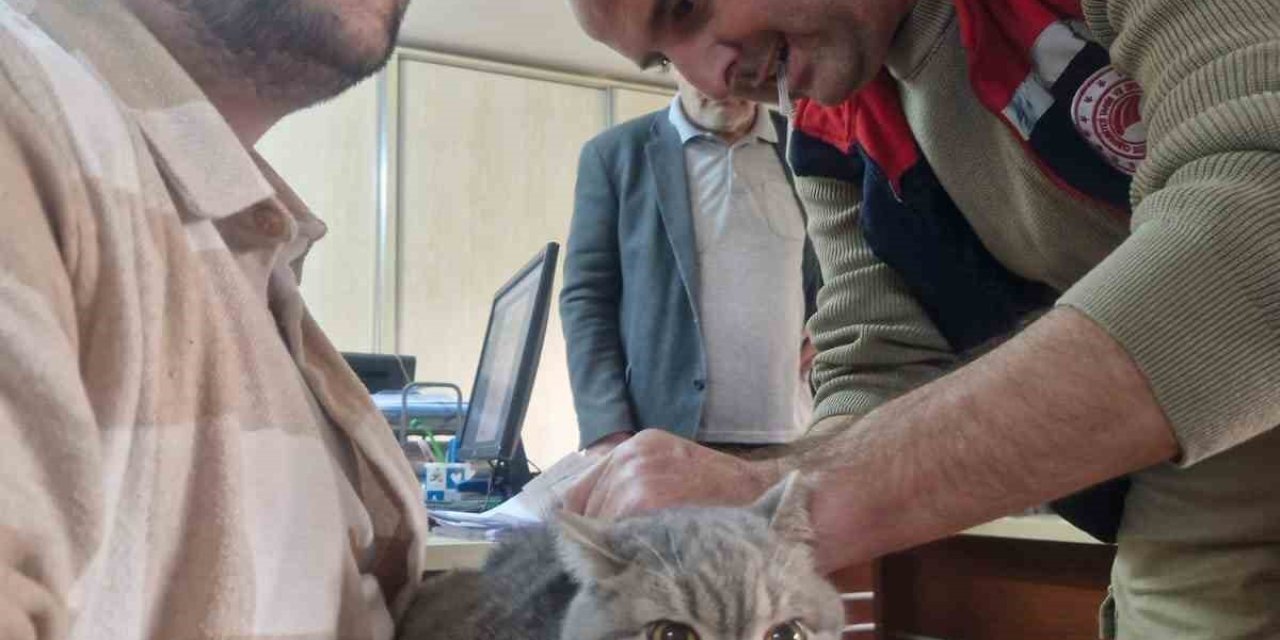 Söke ilçe tarımdan ‘çipleme’ çağrısı