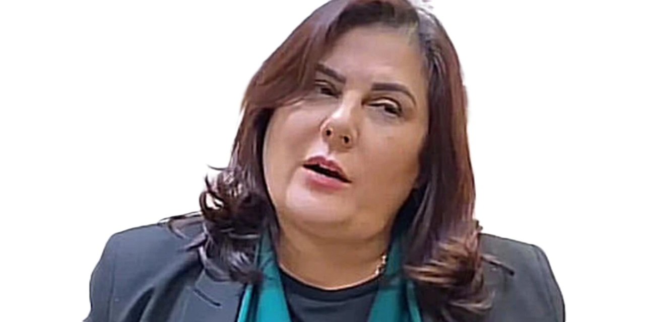 Özlem Çerçioğlu'nun yargılandığı davada savcı hapis ve memuriyetten men talep etti