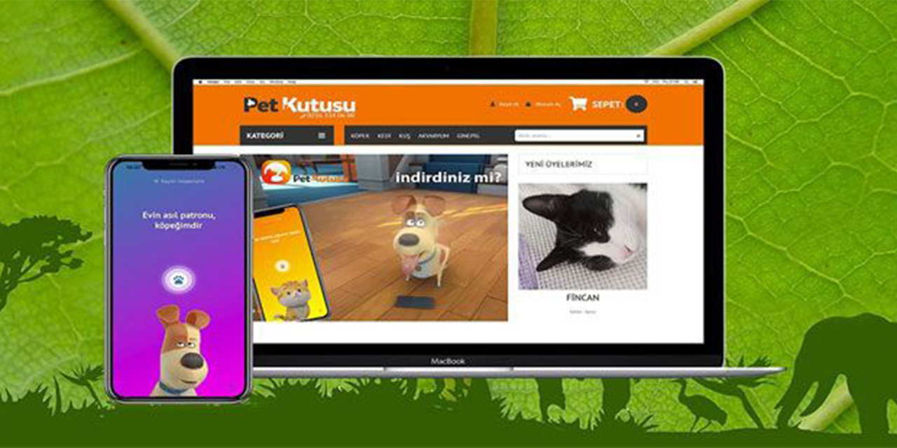 Tasma: Kediler ve köpekler için güvenli ve konforlu bir deneyim