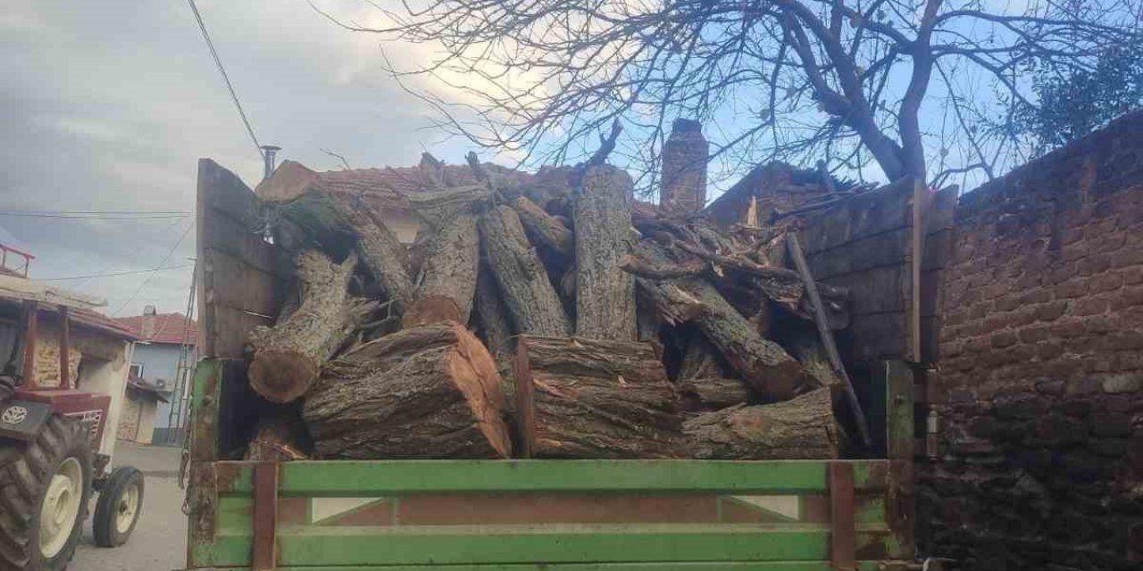 Ormanda ağaç kesen şüpheli yakalandı