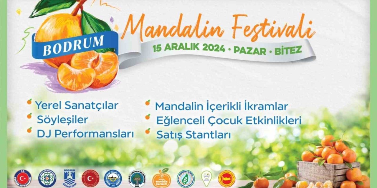 Geleneksel Bodrum Mandalin Festivali başlıyor