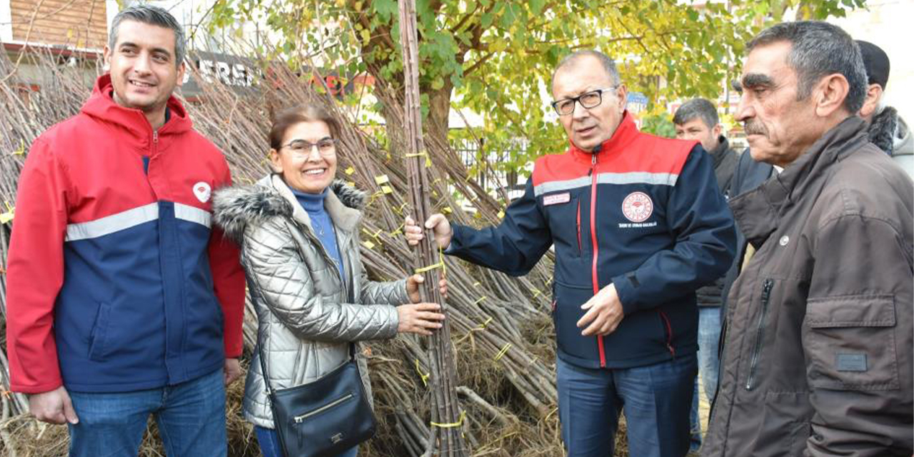 Efeler'de üreticilere 5 bin 200 fidan dağıtıldı