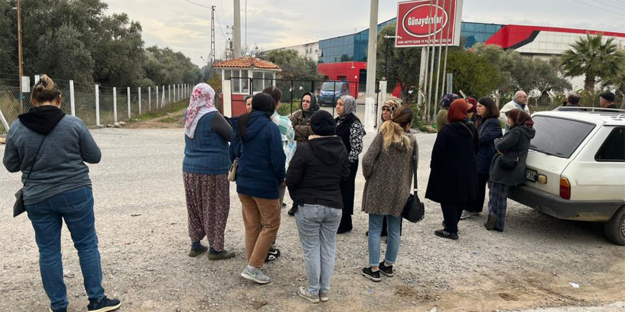 Aydın’da iflas şoku: İşçiler  ve alacaklılar mağdur oldu