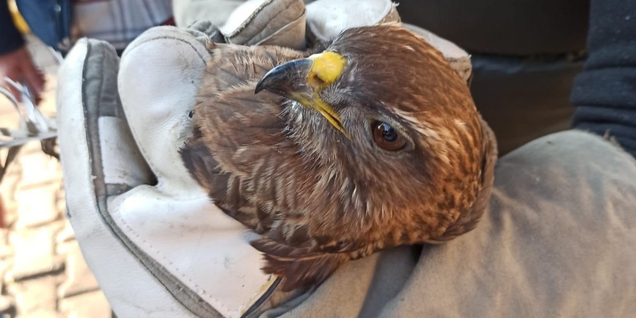 Ava giderken avlandı, sıkıştığı otomobil panjurunda 345 kilometre yol yaptı