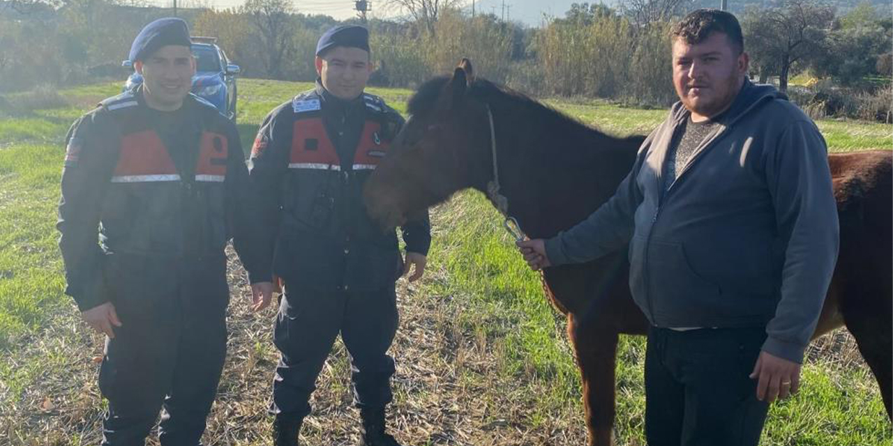 Kaybolan rahvan atı, jandarma ekiplerince bulundu