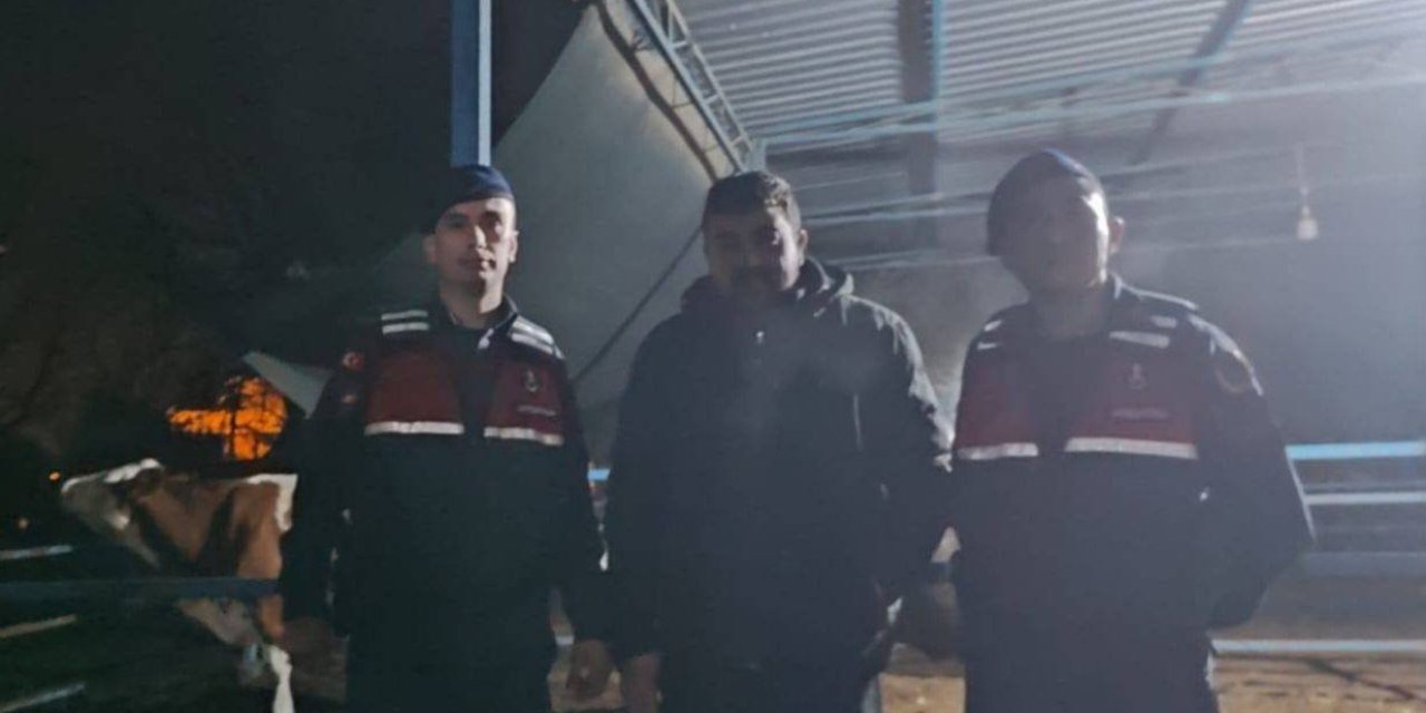 Besihaneden kaçan ineği jandarma buldu