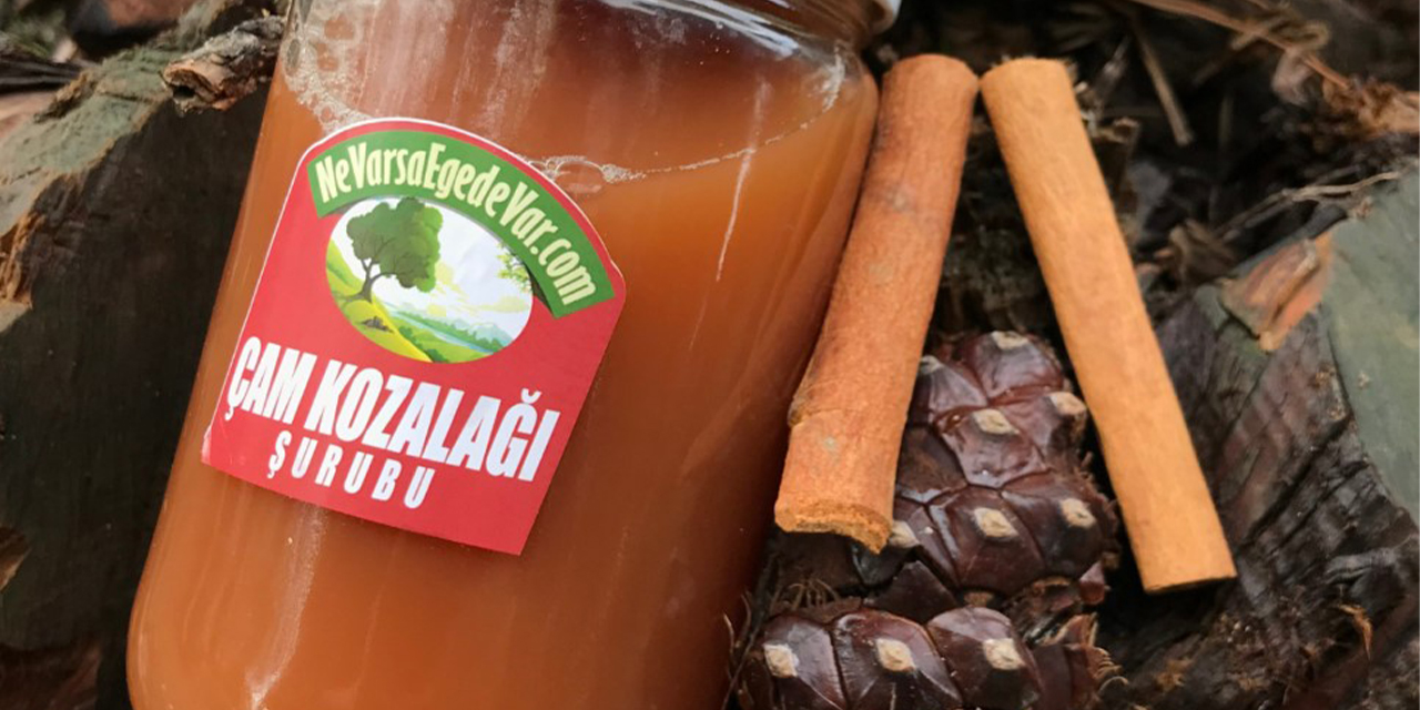 Kozalak şurubu ile sağlığınızı destekleyin