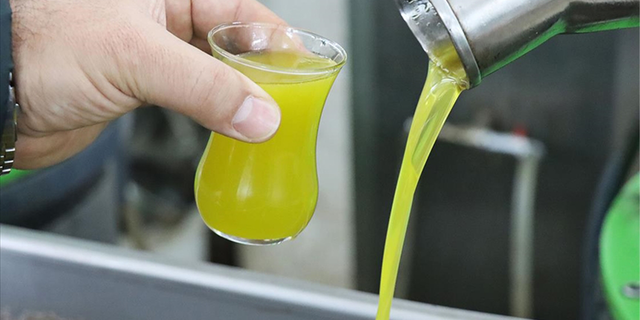 AYSO’dan tağşiş uyarısı: Denetimler ve caydırıcı cezalar büyük önem taşıyor