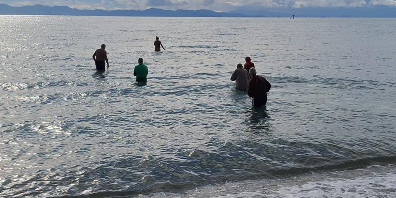 Sokak hayvanları için denize girdiler