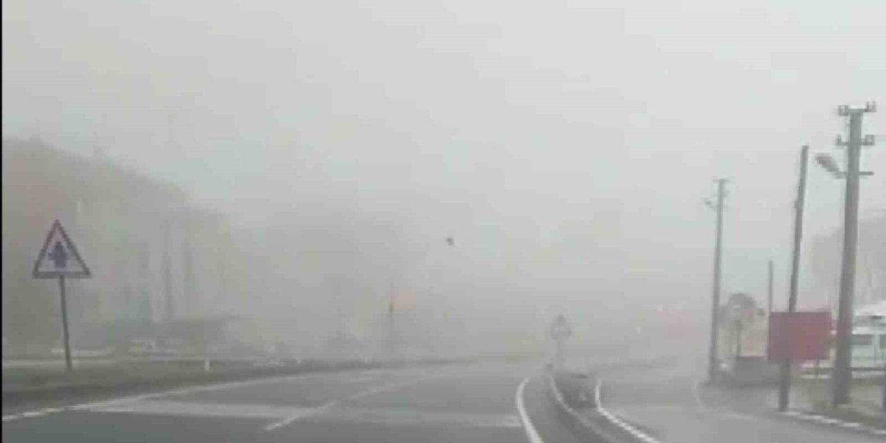 Denizli’de sis sürücülere zor anlar yaşatıyor