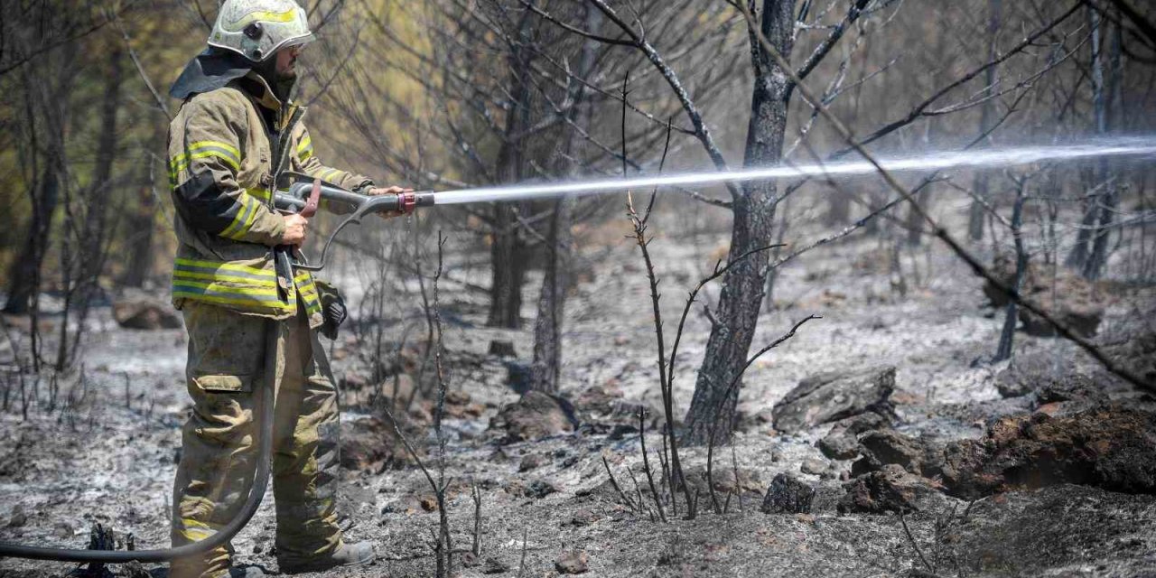 Yangınların bir yıllık ağır bilançosu