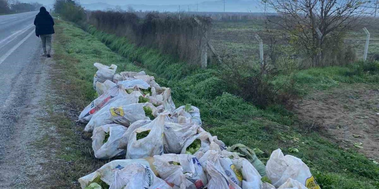 İzmir’de çuval çuval marul çalan 3 şüpheli tutuklandı