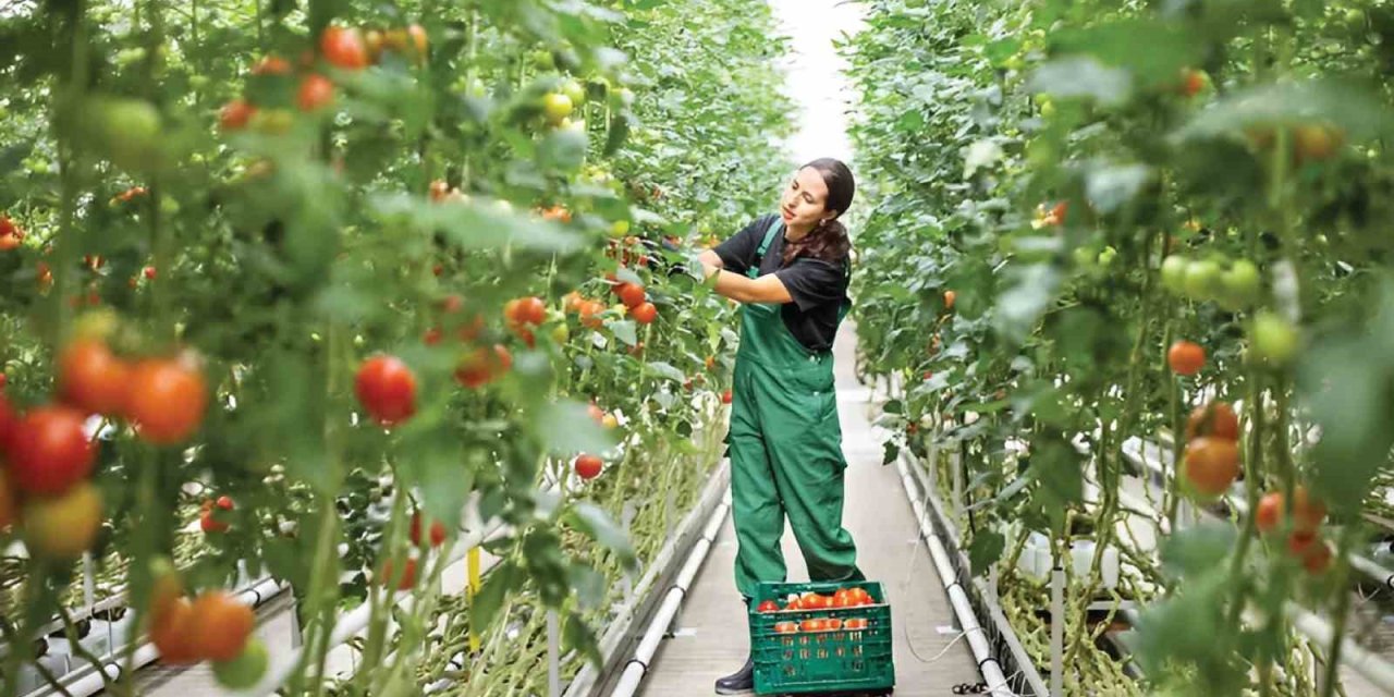 Enerji bağımsızlığının anahtarı jeotermalde