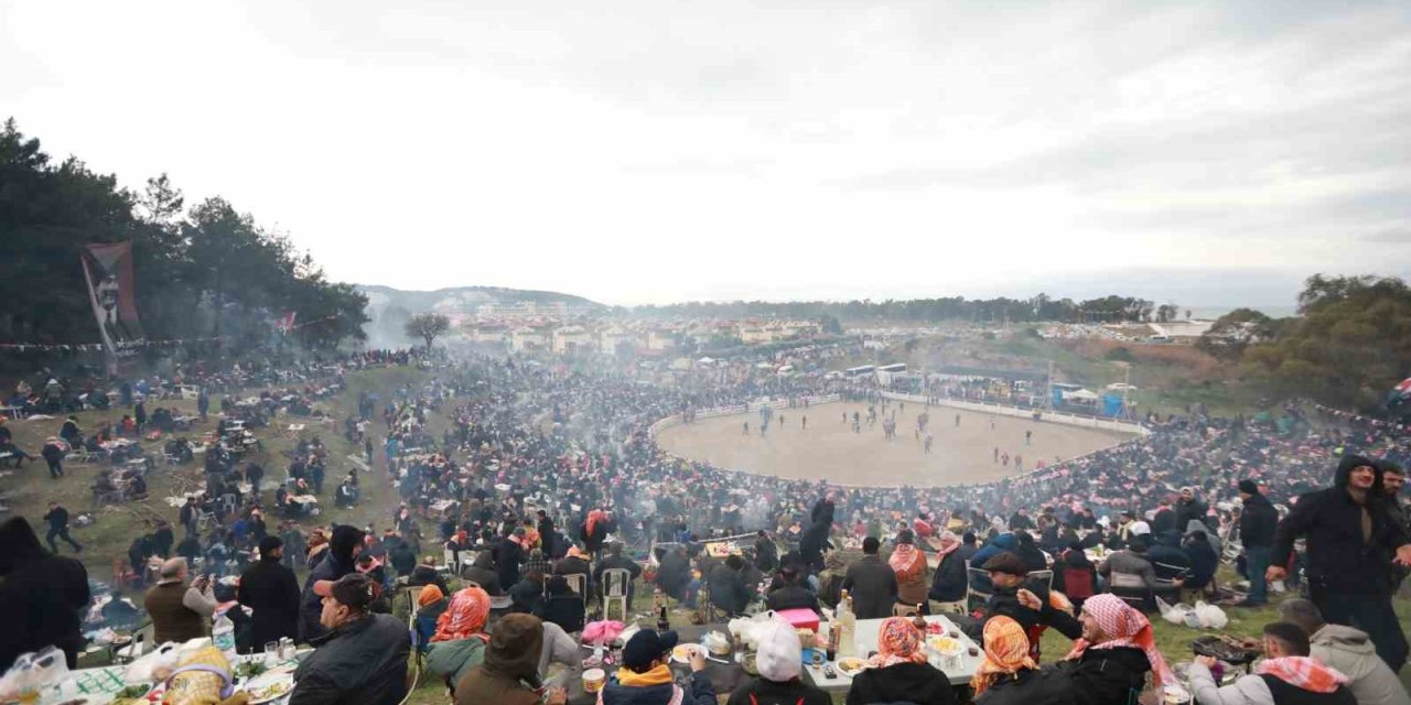 Selçuk’ta Deve Güreşleri Festivali heyecanı başlıyor