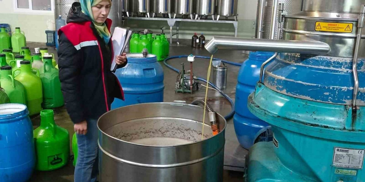 Söke’de zeytinyağı işletmeleri denetlendi