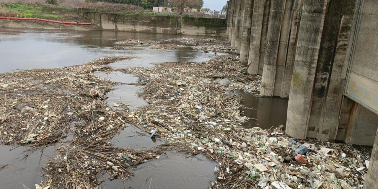 Büyük Menderes Nehri'ndeki kirlilik insan sağlığını tehdit ediyor