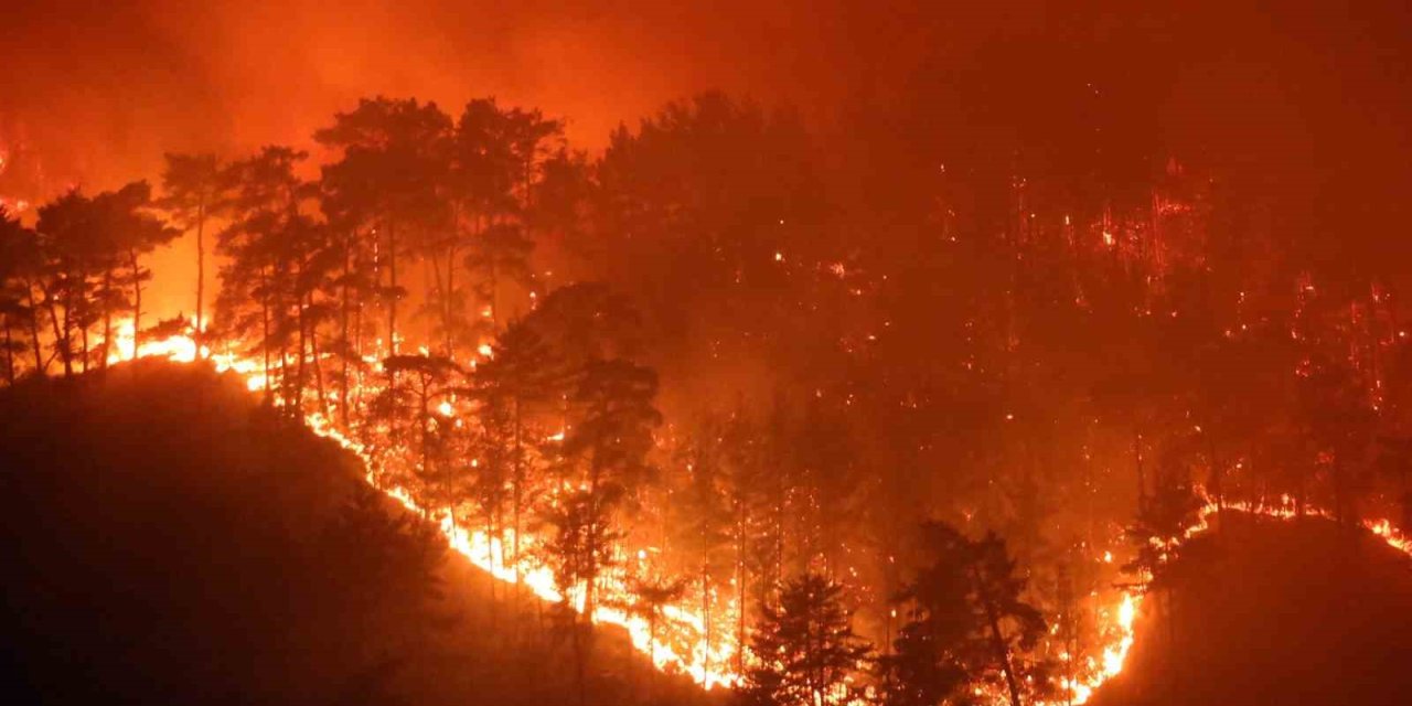 Muğla’da yaz sezonunda günde ortalama 6 yangına müdahale edildi