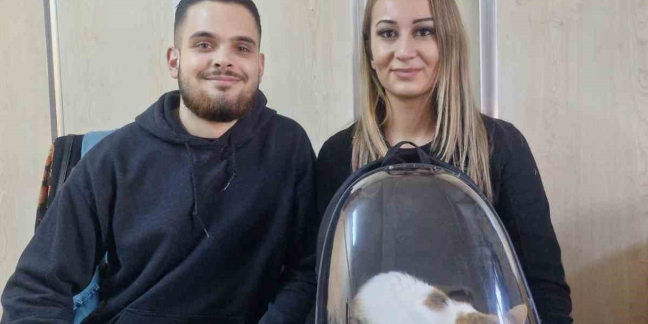 Söke’de evcil hayvanlar kayıt altına alınıyor