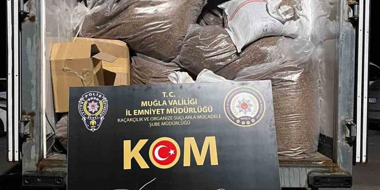 Muğla’da 2 milyon 338 bin adet makaron ele geçirildi