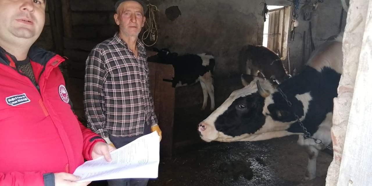 Menteşe’de hayvancılık işletmelerine denetim