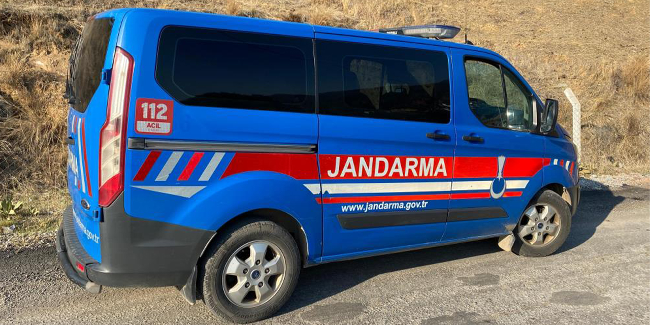 Aydın'da köpek dövüşüne jandarma baskını: 52 şahıs yakalandı, 6 köpek koruma altına alındı