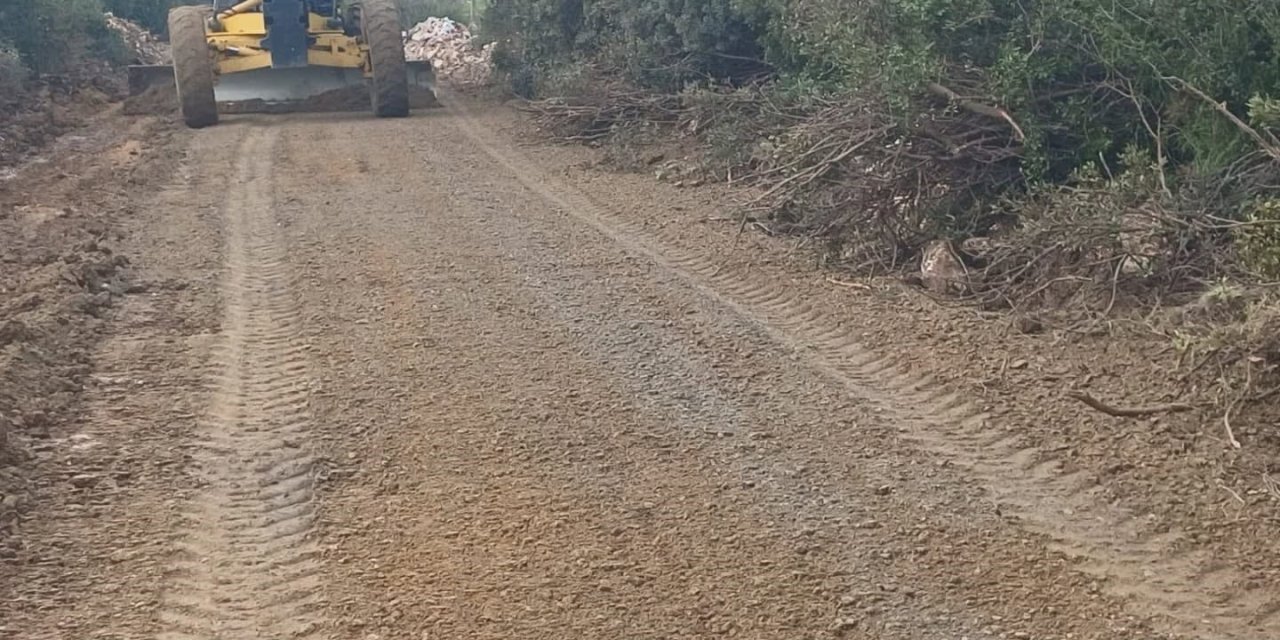 Didim Belediyesi, üreticinin yanında olmaya devam ediyor