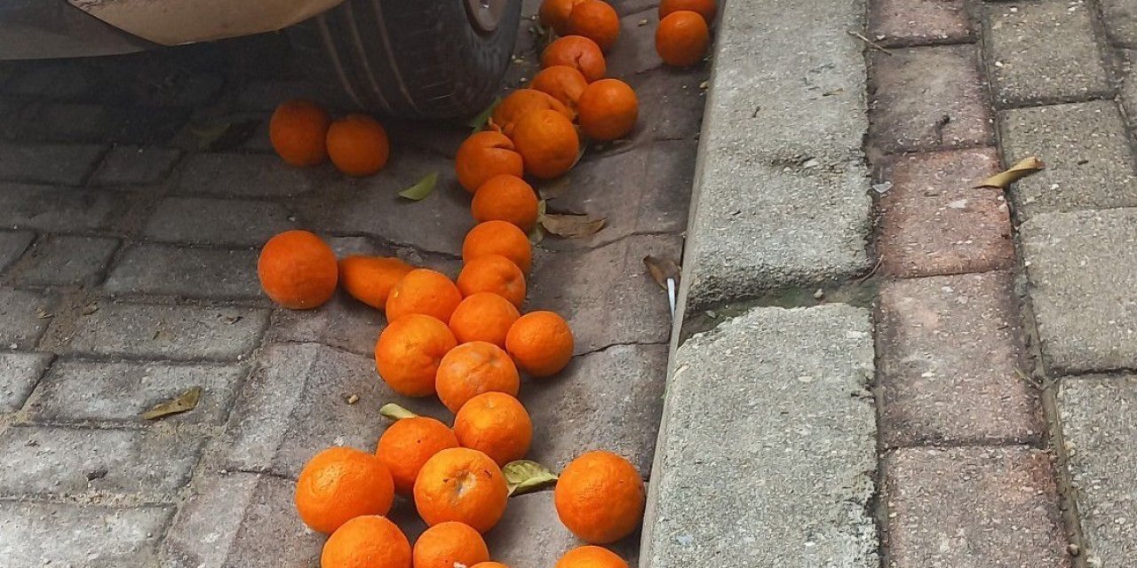 Efeler'de turunçlar çürümeye terk edildi, vatandaşlar tepkili