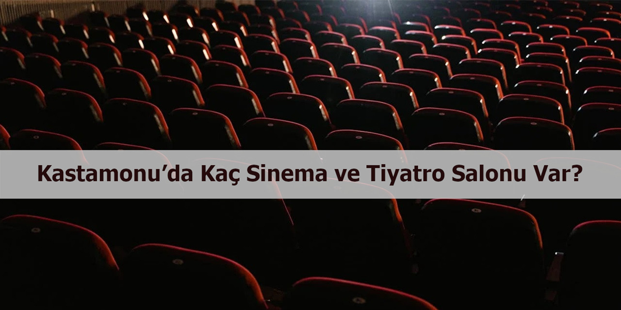 Kastamonu’da kaç sinema ve tiyatro salonu var?