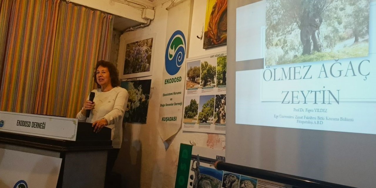 Aydın’da ölmez ağaç konuşuldu