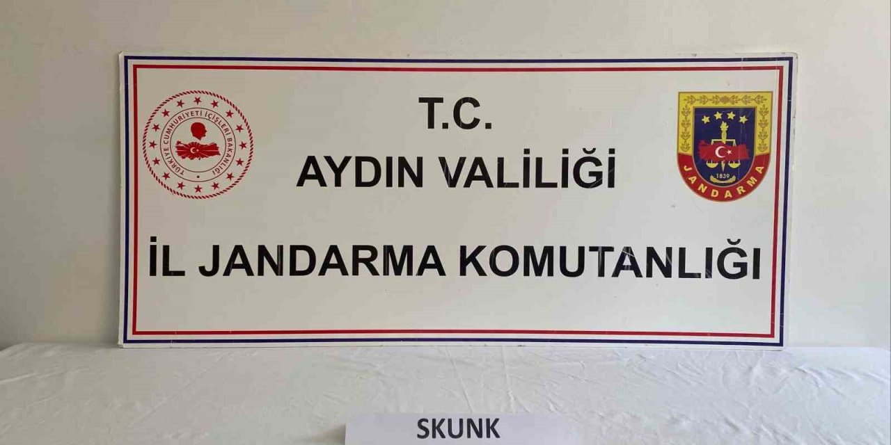 Uyuşturucu kullanan şahıslar jandarmadan kaçamadı