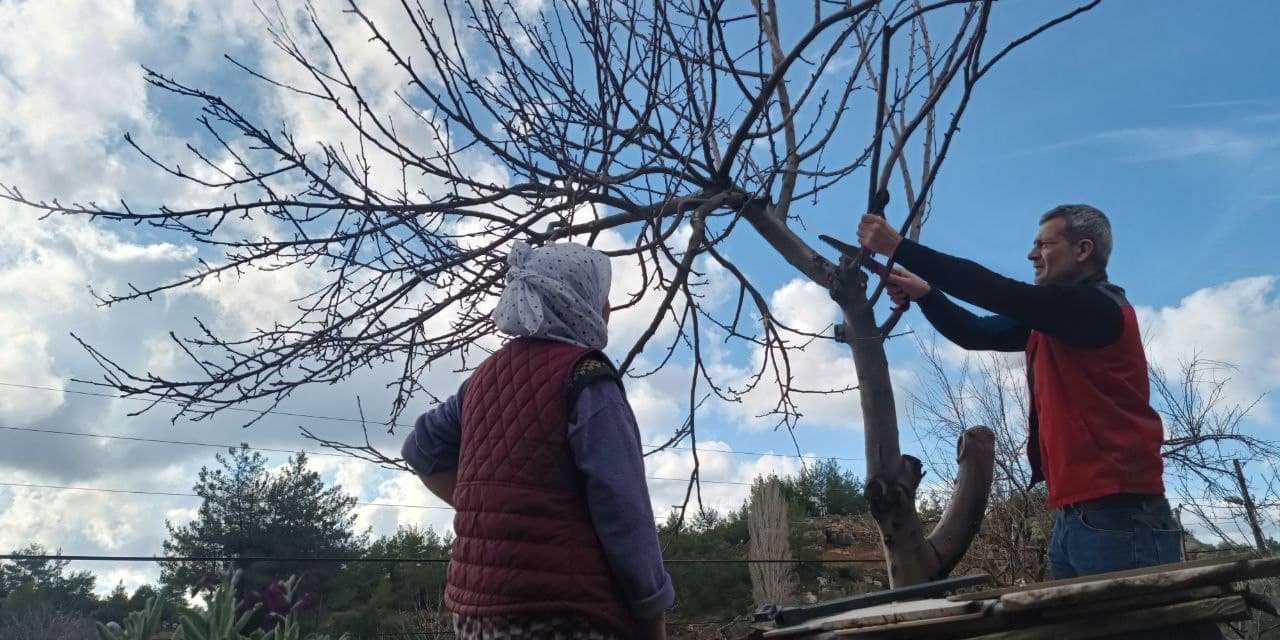 Menteşe’de üreticilere budama ve hastalıkla mücadele eğitimi