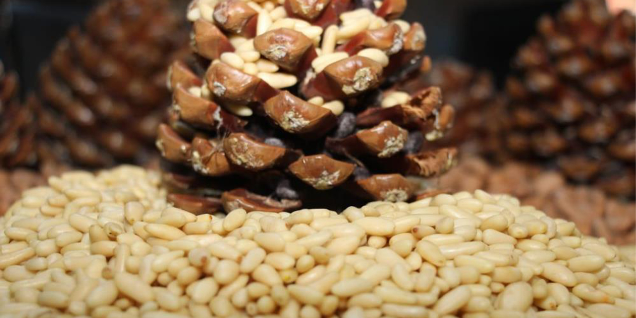 Aydın çam fıstığı Avrupa Birliği Resmî Gazetesi’nde ilan edildi