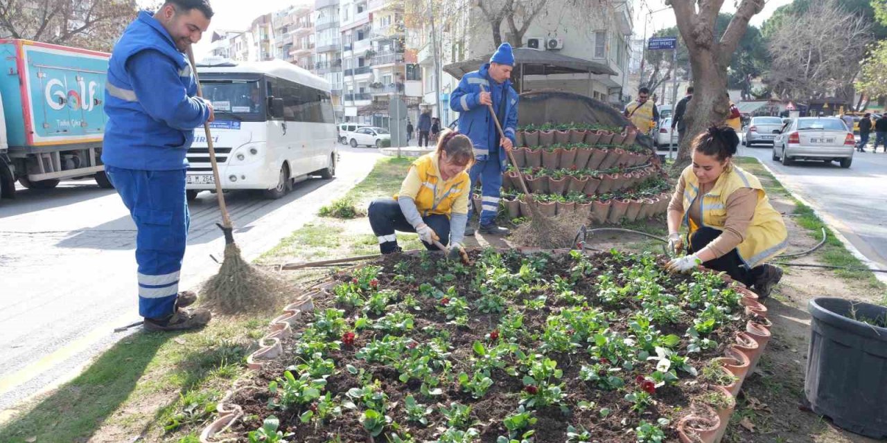 Büyükşehir’in çiçekleri Söke’yi renklendirdi