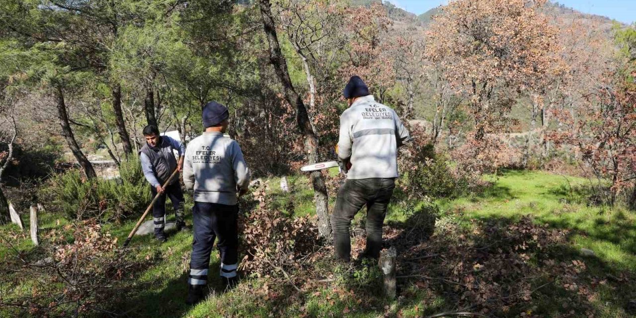 Efeler’den Gölcük Mahallesi mezarlığında kapsamlı çalışma