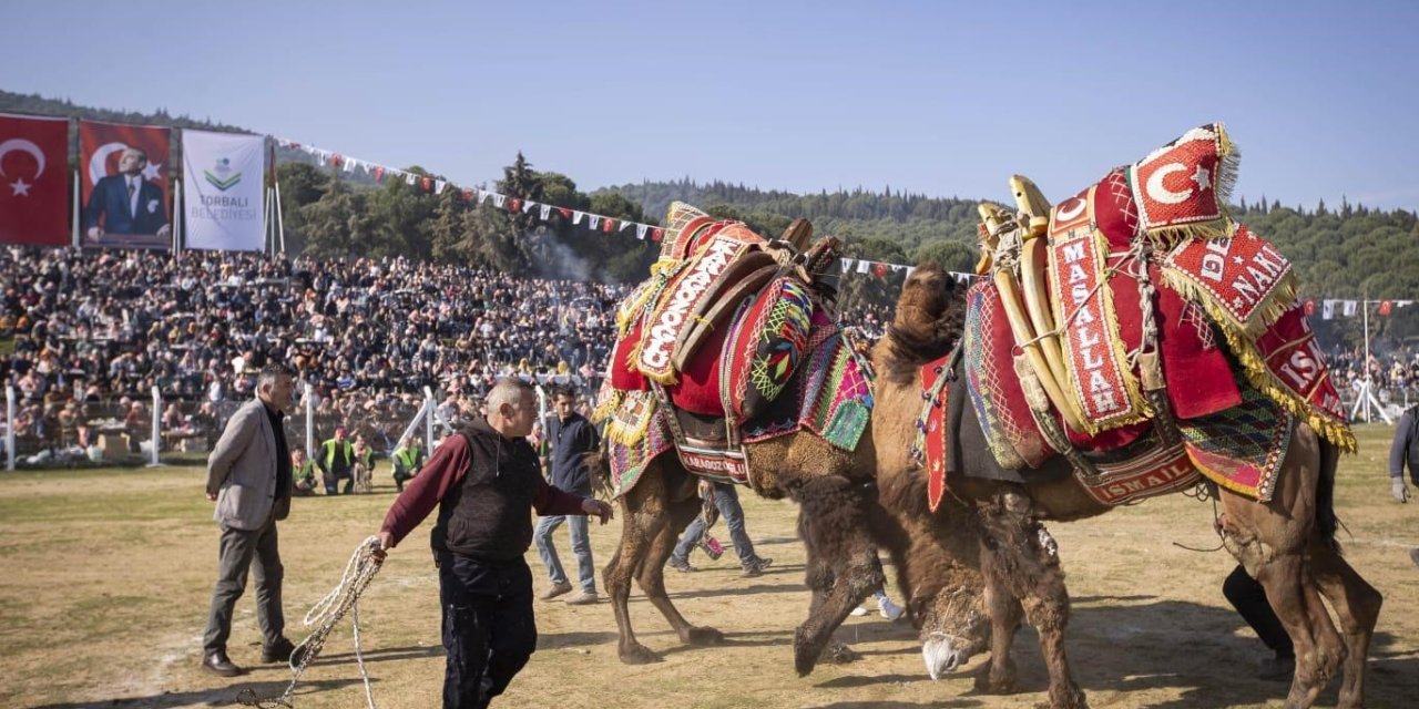 İzmir’de 16. Torbalı Deve Güreşleri Festivali düzenlendi